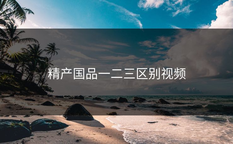 精产国品一二三区别视频